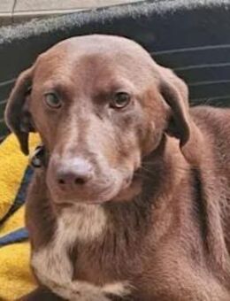 CAMPANELLINA das neue Leben beginnt! - Regensburg