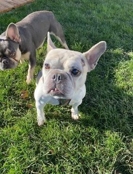 🍀 Becky sucht ihr Glück - Kassel