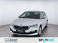 Skoda Scala, 1.0 TSI Ambition, Jahr 2024 - Einbeck