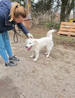 Liebe SNEJANKA = hoher will to please♥️ - München