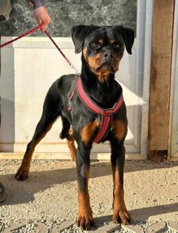 Tanita sucht Familie mit ❤️ - Mylau