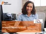 Mitarbeiter Verwaltung m/w/d - Essen