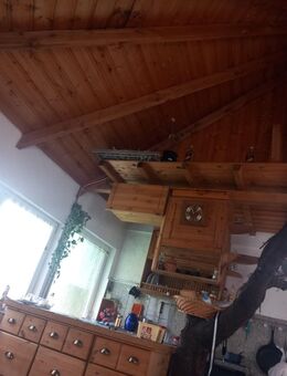 400qm Garten Steinhaus, Holzhaus ☎️+4915752798112 - Dresden