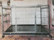 Gitterbox für große Hunde - Schieder-Schwalenberg Wöbbel