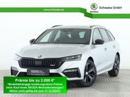 Skoda Octavia, 2.0 TDI Combi, Jahr 2024 - Gersthofen