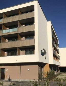 Möblierte Penthouse-Apartments mit Balkon im "Campus Living SHA" - Schwäbisch Hall