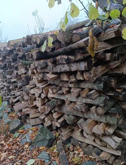 Brennholz Ahorn und Esche - Aindling