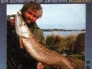 Neu! Buch Blinker Sonderheft Deutschlands beste Hechtgewässer - Kirchheim (Teck)