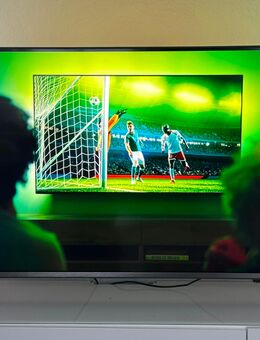Philips Ambilight TV 43PUS8508/12 – 43 Zoll (108 cm) - Dresden