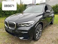 BMW X5 M Sport DirvingProf 360K Pano Gesteppt-Leder - Steinbach-Hallenberg