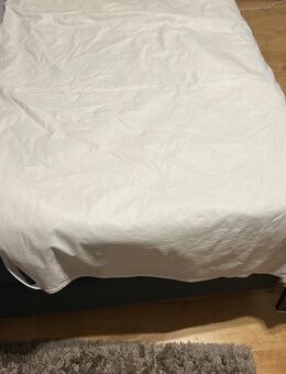 Futonbett 140x200cm - Föhren