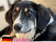 Jackie, 08/24 - süßes Mädel - Heppenheim (Bergstraße)