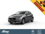 Mazda 2, L 75 S EXCLUSIVE, Jahr 2023 - Hiddenhausen