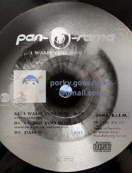 Pan-O-Rama – I Want You Boy 1996 Promo Limited Edition 12" Vinyl Trance, House - München Bogenhausen
