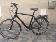 Rose Trekk. 14 Black Creek Biketown Herren shiny-black 23" - Witten