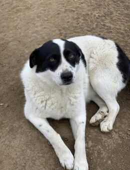 Mathilda will die Welt entdecken - Celle