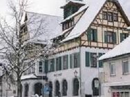 Sympathischer Nichtraucher Sucht sein Neues Zuhause in 89143 Blaubeuren - Blaubeuren