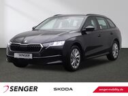 Skoda Octavia, 2.0 TDI Combi Selection, Jahr 2024 - Rheine