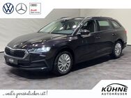 Skoda Octavia, 1.0 TSI Combi Active | eCALL, Jahr 2021 - Doberlug-Kirchhain