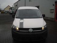 VW Caddy Kasten EcoProfi BMT Kamera - Neuzelle