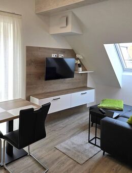 Geräumiges 1-Zimmer-Apartment, neu und voll ausgestattet in toller Lage Obernburg - Obernburg (Main)