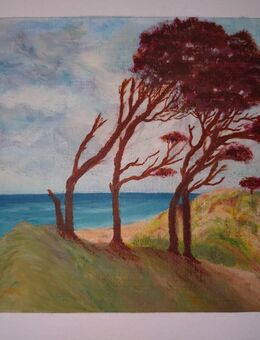 Acrylbild Ostsee Weststrand gerahmt Bilderrahmen 28 x 22 cm Unikat - Naumburg (Saale)