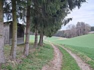 Wohnen im Grünen: Einfamilienhaus zum Selbstgestalten inmitten unberührter Natur - Bayerbach (Ergoldsbach)