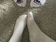 Socken_Duo hat Socken für dich!!! - Zwickau