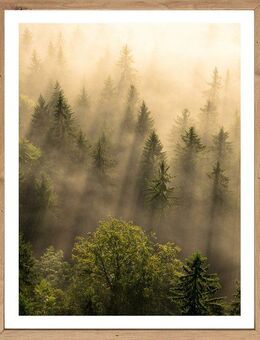 Bönninghoff Bild mit Rahmen, Bäume, Landschaft, Natur, Wald, Waldbilder, mystischer Wald (1 St)