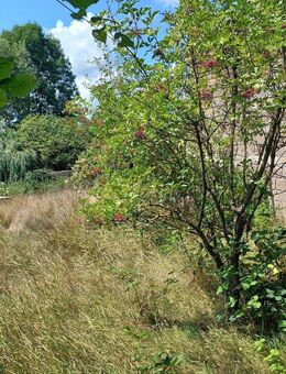 Einfamilienhaus mit Scheune und Garten - Winnweiler