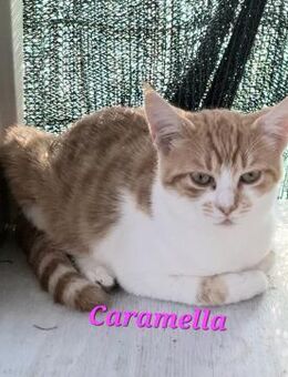 Caramella, ein süßer Name - Oberhausen (Rheinland-Pfalz)