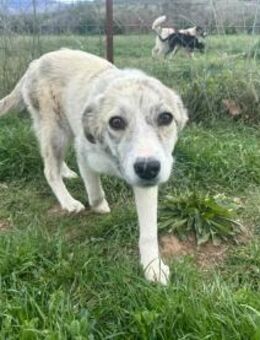 June Eine lebensfrohe Entdeckerin - Eixen