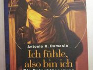 Ich fühle, also bin ich, Die Entschlüsselung des Bewusstseins, Antonio R. Damasio, neuwertig - München