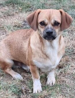 Truck möchte ein tolles Leben - München