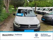 VW Caddy, 2.0 TDI Maxi Kombi KÖGL-REGAL, Jahr 2020 - Ulm