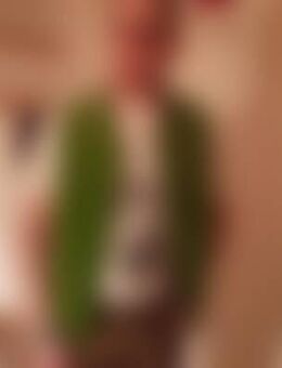 Mic*** - Marktoberdorf