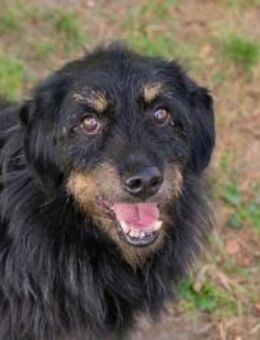 GAUDI - echtes Familienleben genießen - Overath