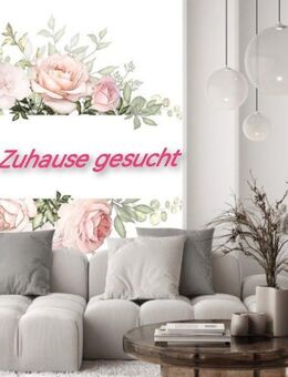 Zuverlässig, ruhiges Paar - zu zweit auf Wohnungssuche in Reken - Reken