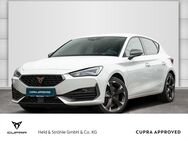 CUPRA Leon, 2.0 TSI R APP, Jahr 2023 - Neu Ulm