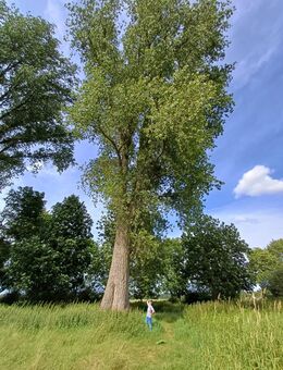 Bergkristallinchen sucht DICH - Viersen