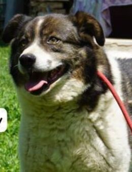 Sunny Gemütlichkeit kennt keinen ... - Kissing