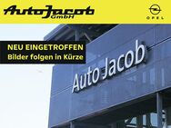 Opel Ampera, Ultimate Park Distance Control vo &hi, Jahr 2020 - Rüsselsheim