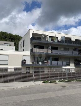 NEUWERTIG - MODERN - MIT GARTENANTEIL - Zell (Wiesental)