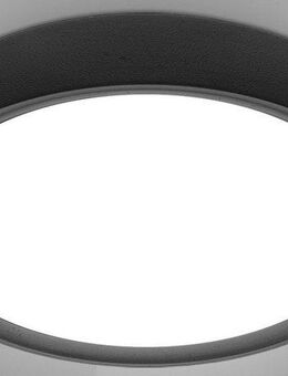 B.K.Licht LED Deckenleuchte BK_DL1434 LED Deckenlampe, Ø25cm, Schwarz, neutralweißes Licht, LED fest integriert, Neutralweiß, 12 Watt, 1.200 Lumen, 4.000 Kelvin