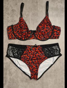 Curve Dessous Set mit BH und Pants / Größen von 0XL bis 4XL - Marl (Nordrhein-Westfalen)