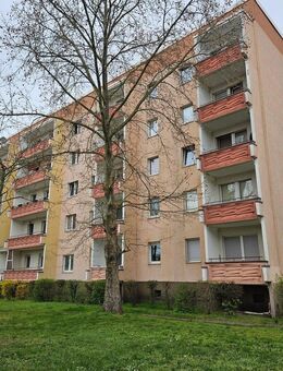 Kapitalanlage mit Entwicklungspotential mit 1630 m² Wohnfläche - Zerbst (Anhalt)