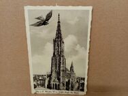 Postkarte C-309-Ulm an der Donau-Münster-1942 Feldpostkarte. - Nörvenich