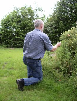 Mein sehnlichster Wunsch ist es - endlich gefühlvoll, zärtlich, liebevoll ge.... zu werden... - Magstadt