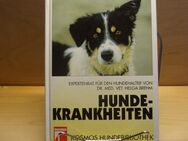 Dr. Med. Vet. Helga Brehm - Hunde Krankheiten - Schiltach