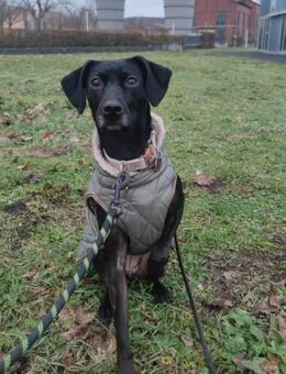 die aktive Luna wartet auf eine 2.Chance - Dortmund